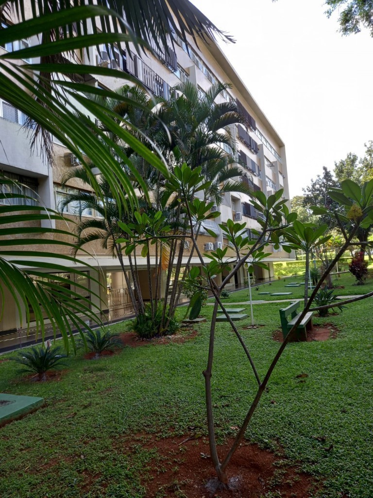 Árvores no jardim da SQS 204